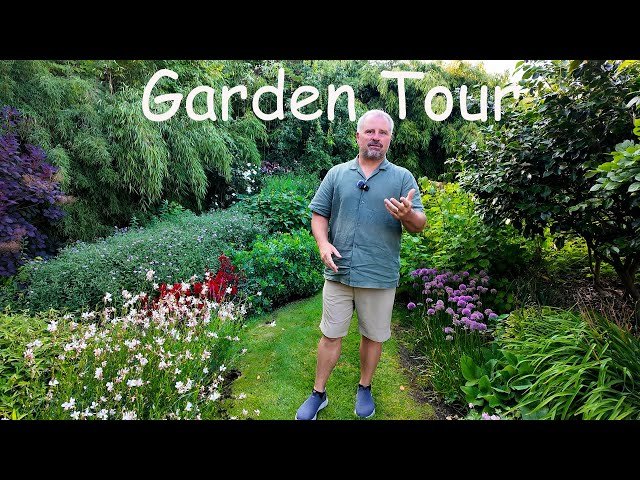 Netherlands - chicken road gokkast